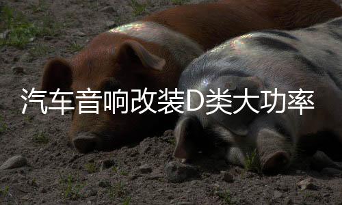 汽车音响改装D类大功率发烧级车载纯重低音功放主推双音圈低音炮