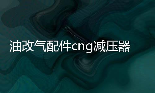 油改气配件cng减压器单点减压阀洛瓦托减压器汽车天然气配件改装
