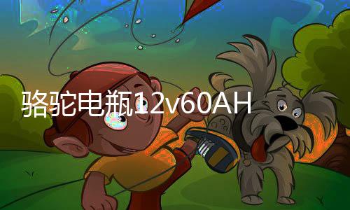 骆驼电瓶12v60AH适配伊兰特吉利远景55D23东风风光580汽车蓄电池