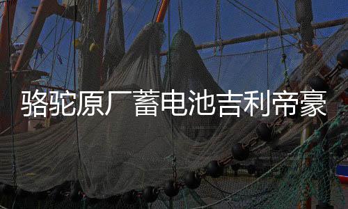骆驼原厂蓄电池吉利帝豪ec718远景/现代朗动悦动原装60ah汽车电瓶