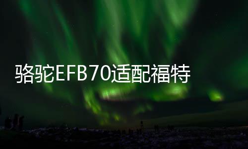 骆驼EFB70适配福特锐际/嘉年华/福睿斯科雷嘉/探界者原装启停电瓶